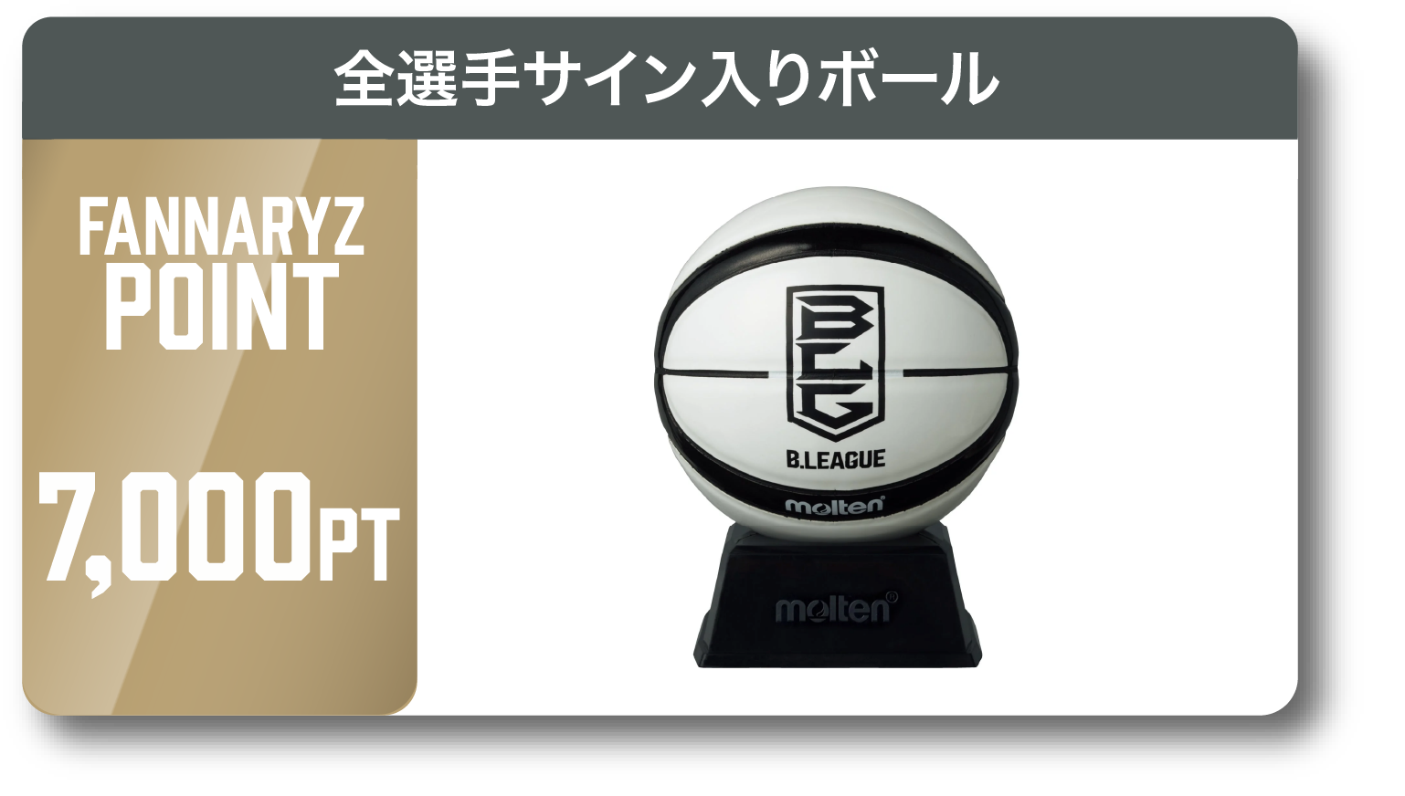 京都ハンナリーズ ファングッズセット 契約記念グッズ 第2弾 受注販売のお知らせ | 京都ハンナリーズ
